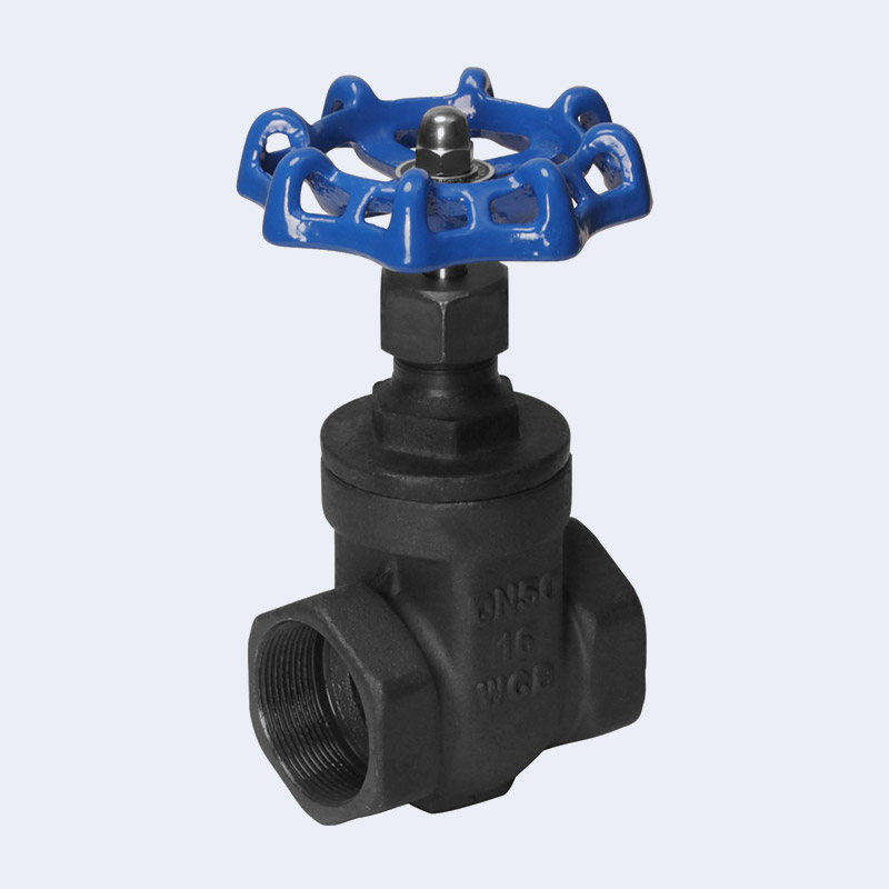 Carbon steel gate valve