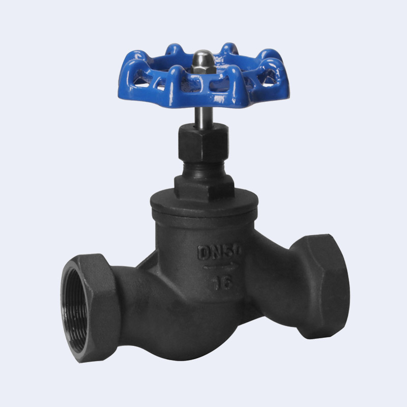 Carbon steel globe valve