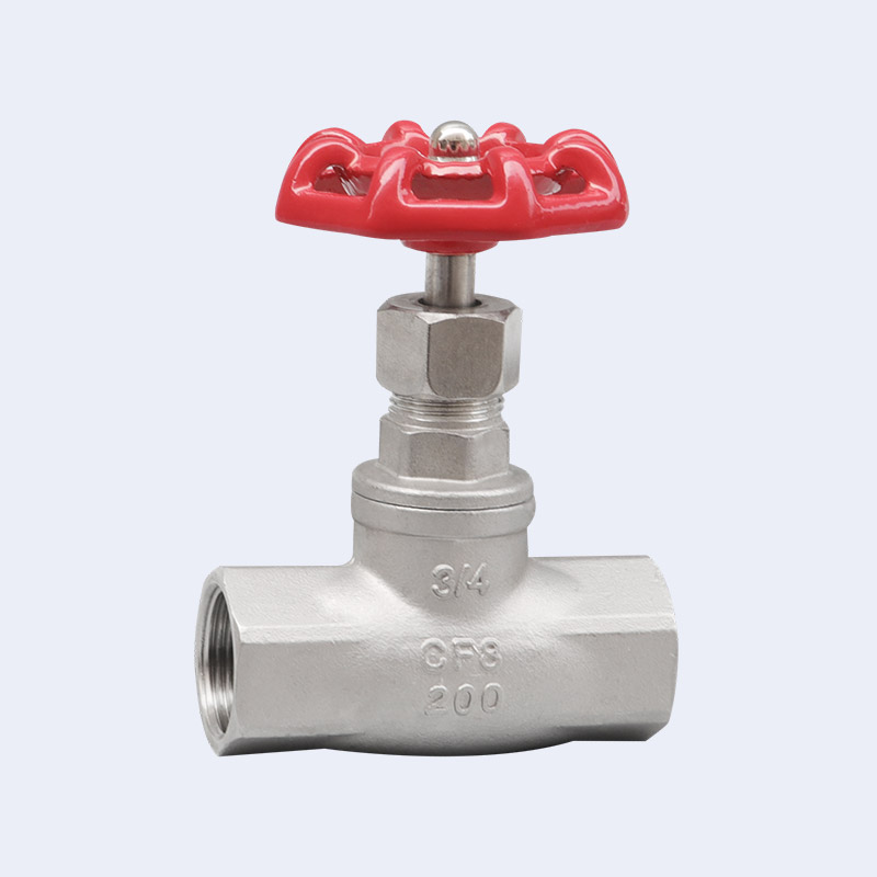 ANSI globe valve