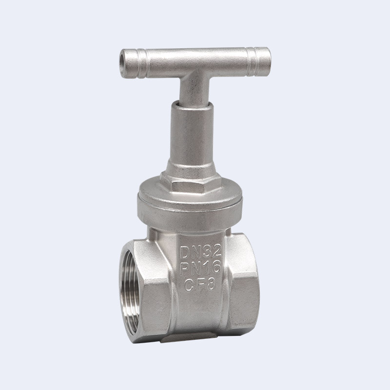 Anti theft gate valve