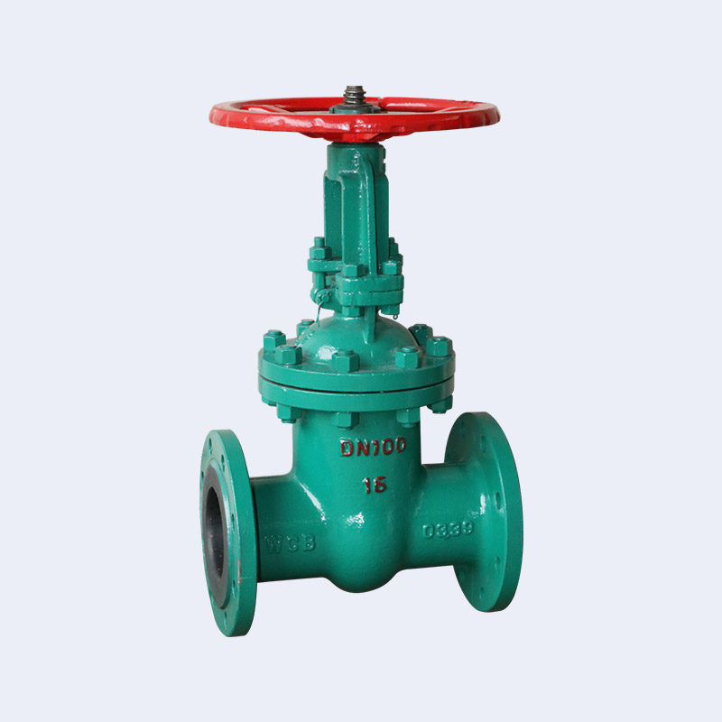 Rubber lined flange gate valve