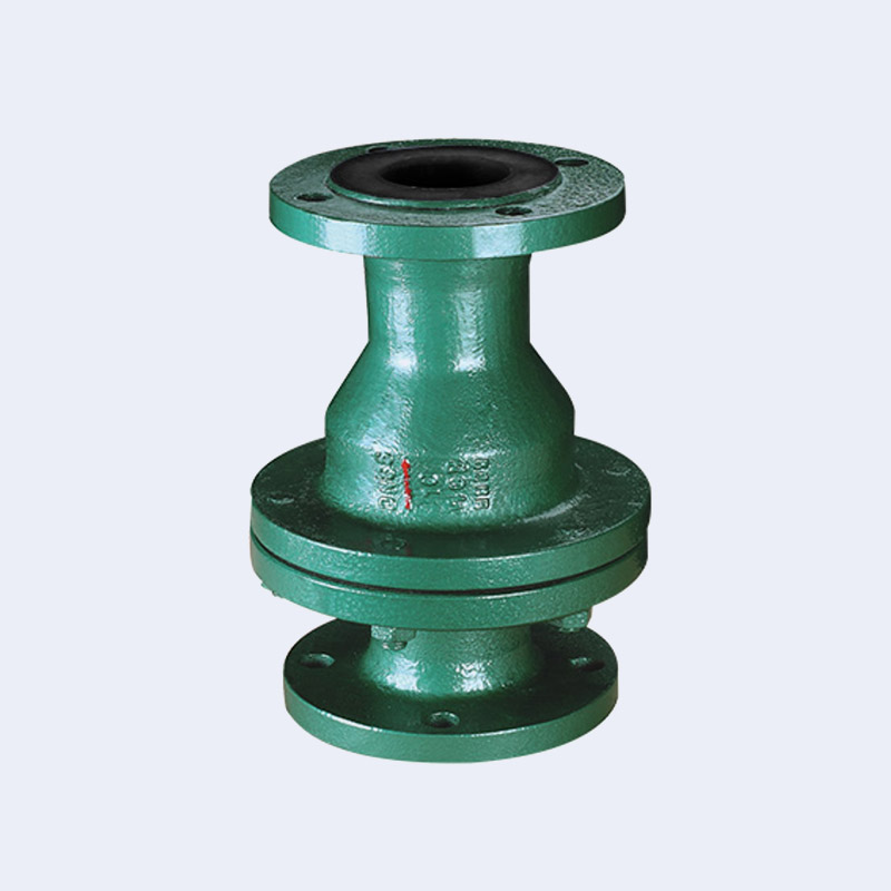 Rubber lined check valve