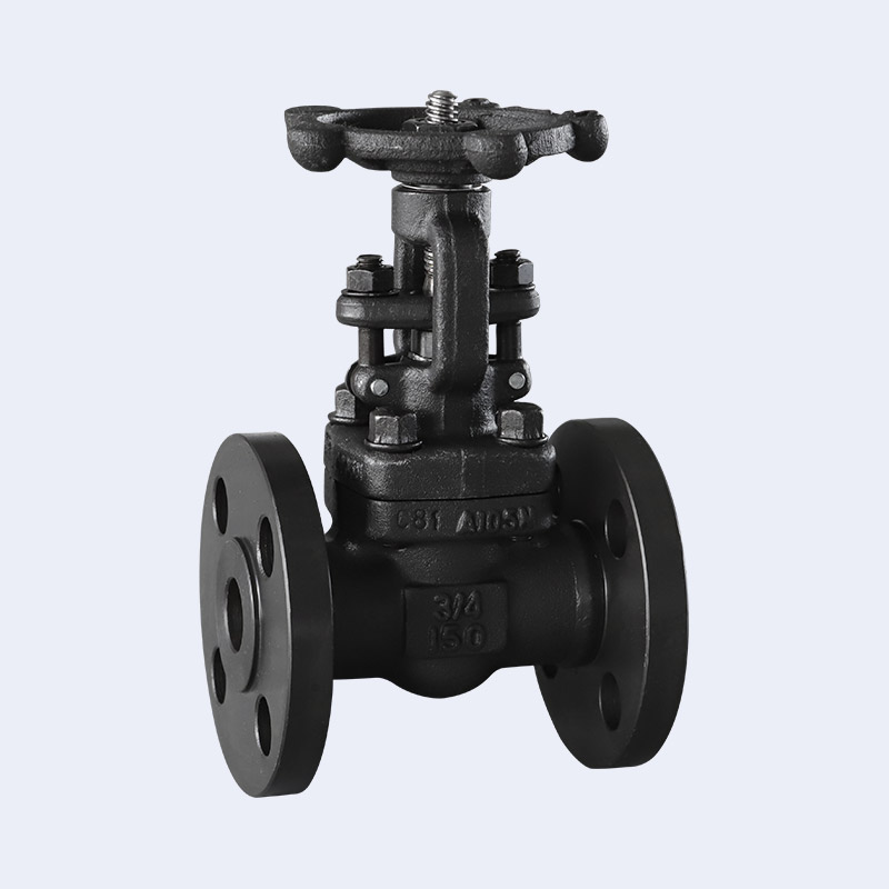 Forged steel flange gate valve