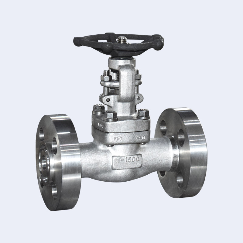 Forged steel flange gate valve