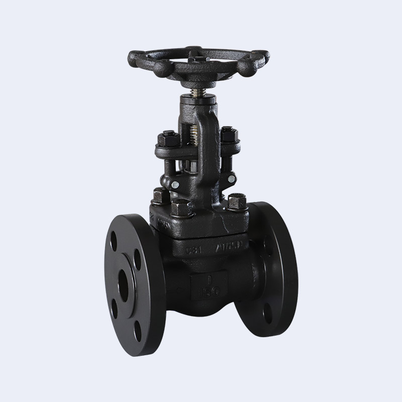 Forged steel flange globe valve