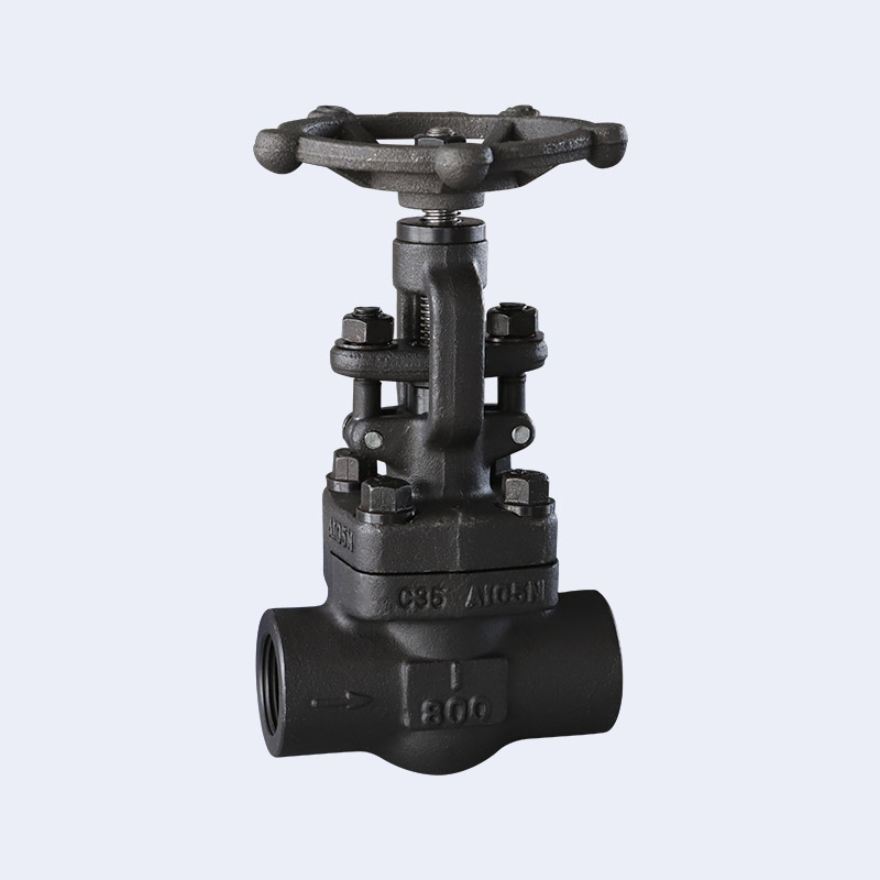 Forged steel threaded globe valve