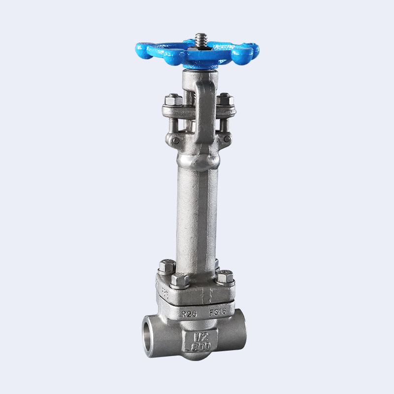 Forged steel low-temperature butt welding gate valve