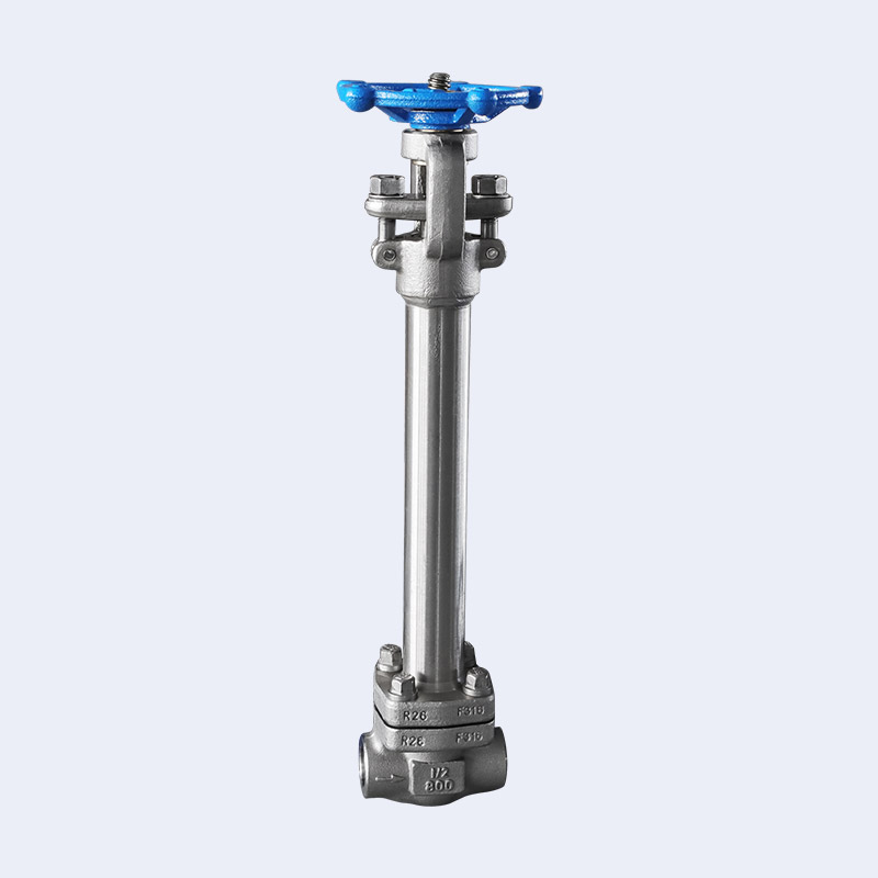 Forged steel low-temperature butt welding gate valve