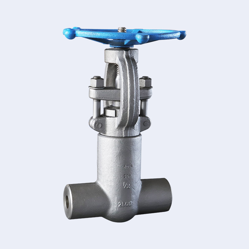 Forged steel self sealing butt welding gate valve