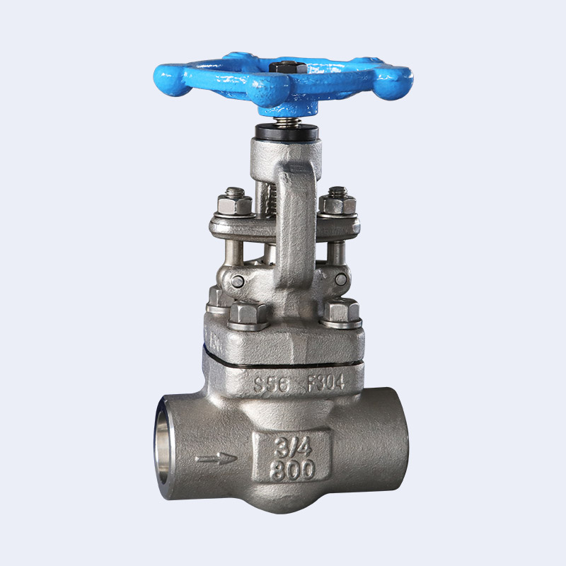 Forged steel butt welding globe valve