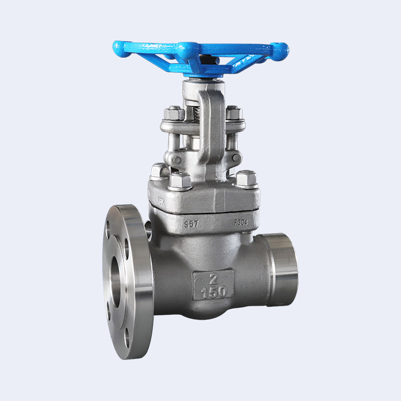 Forged steel non-standard gate valve