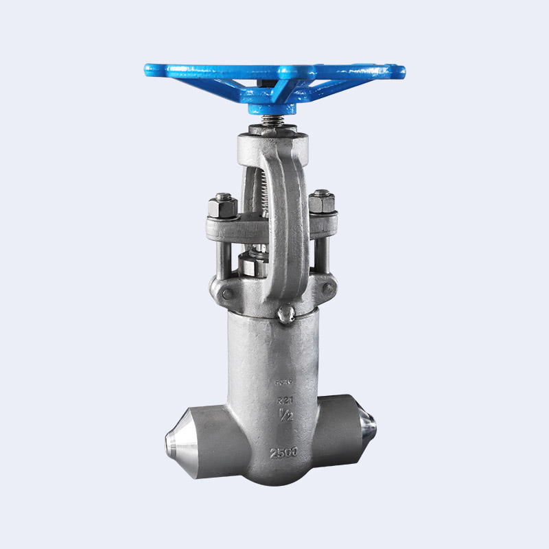 Forged steel self sealing butt welding globe valve