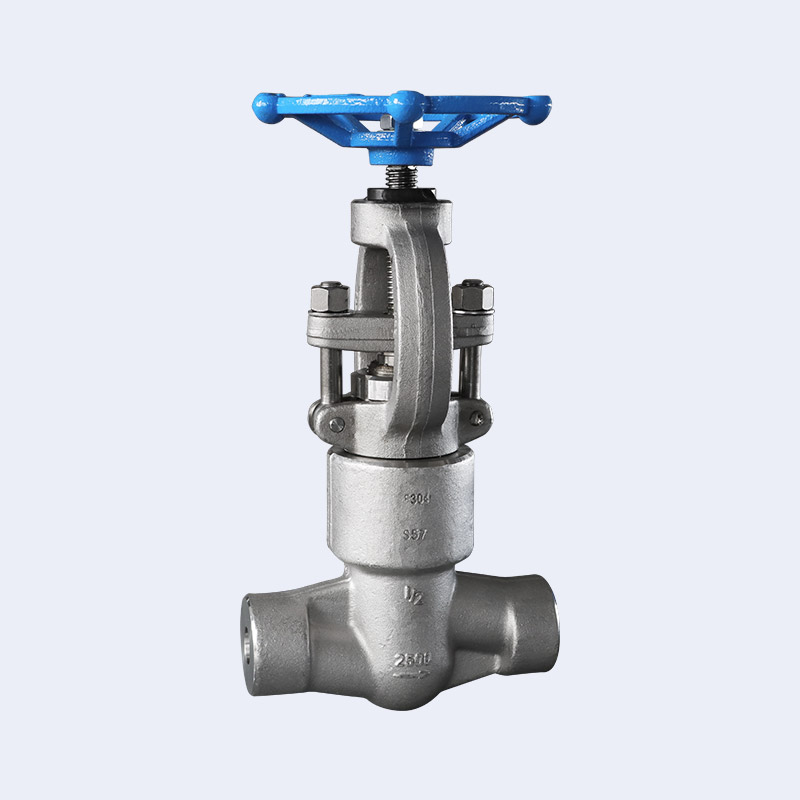 Forged steel self sealing butt welding globe valve