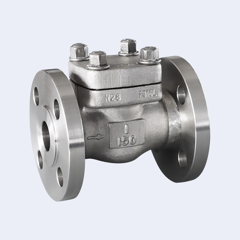 Forged steel flange check valve