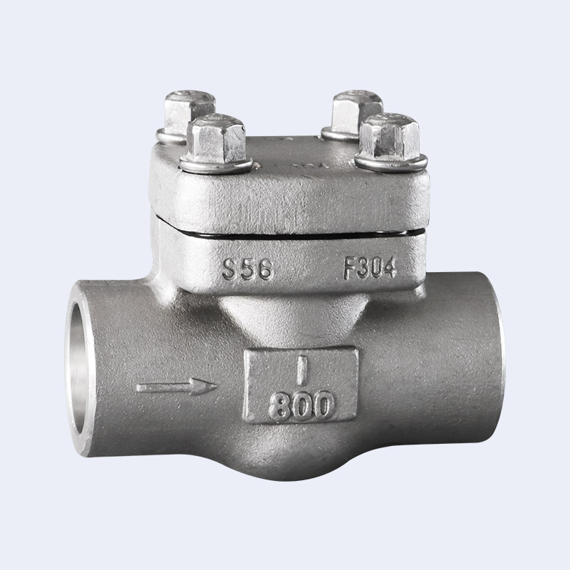 Forged steel butt welding check valve