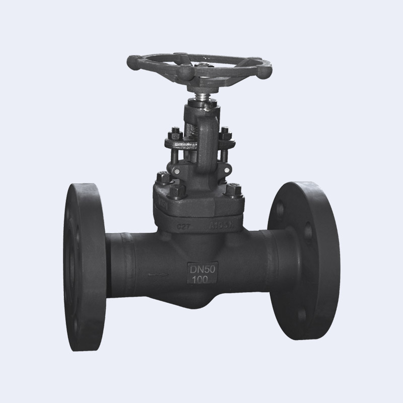 Forged steel flange globe valve