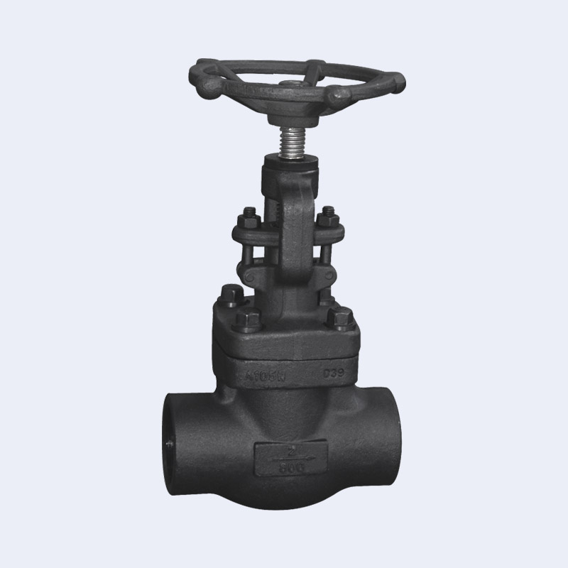 Forged steel butt welding globe valve