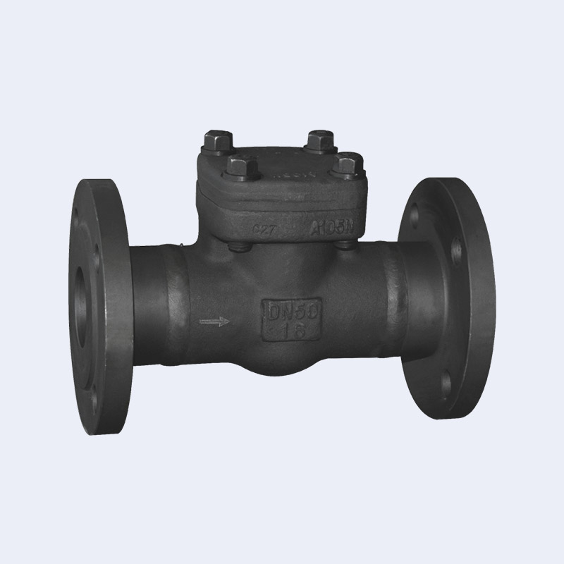 Forged steel flange check valve