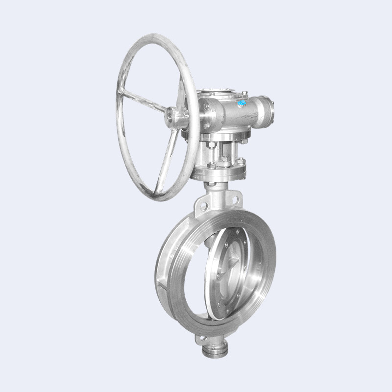 Worm wheel wafer butterfly valve