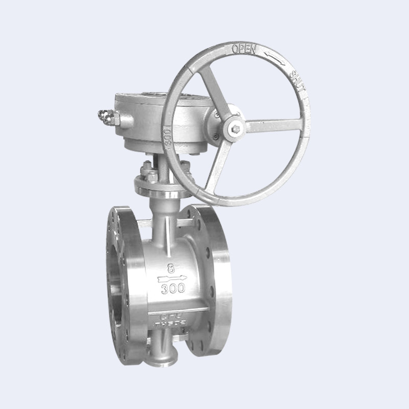 Worm gear stainless steel butterfly valve