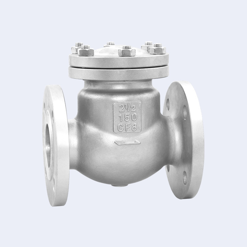 ANSI flange check valve