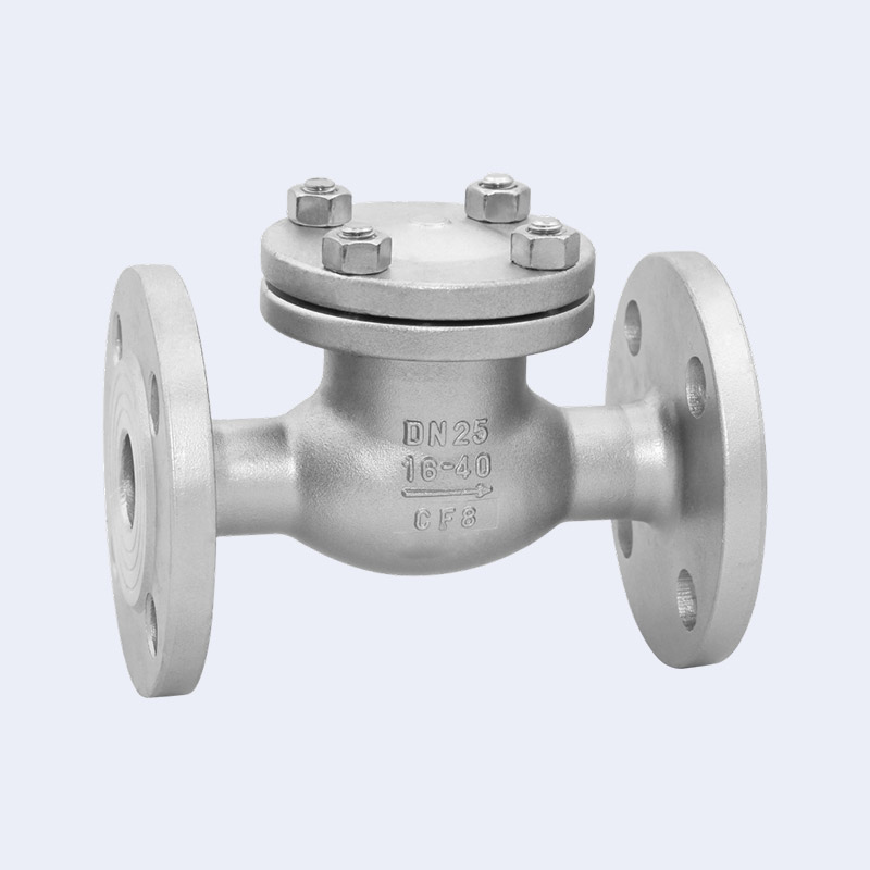 ANSI flange check valve