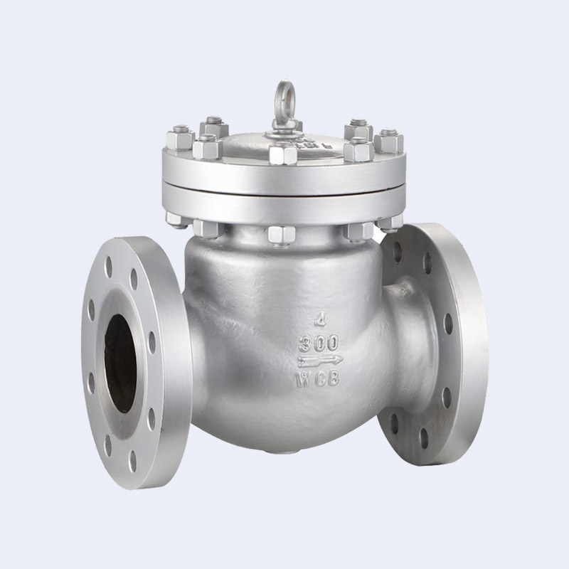 ANSI check valve