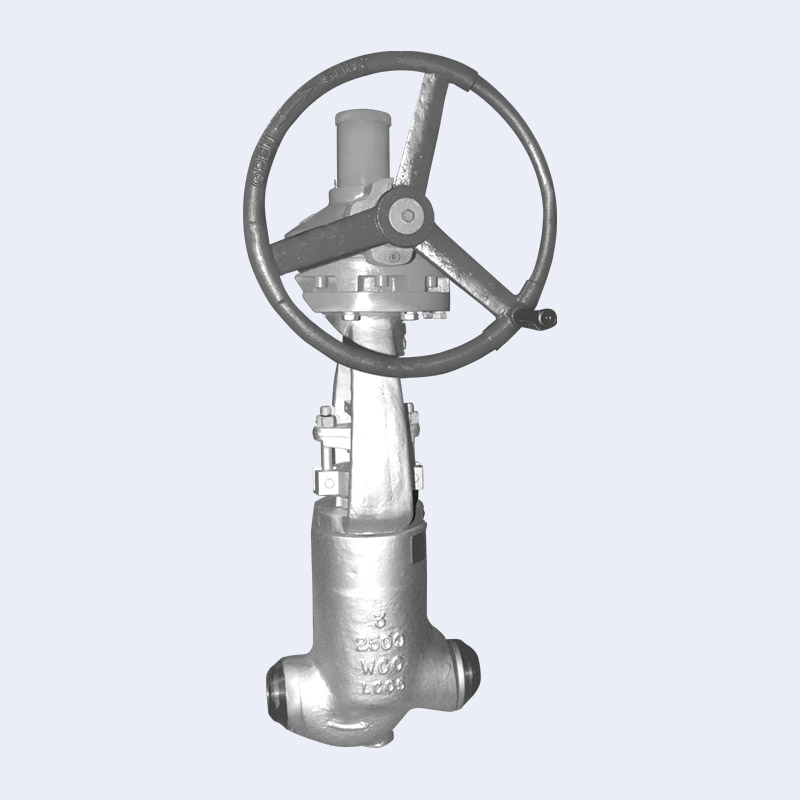 Power station globe valve