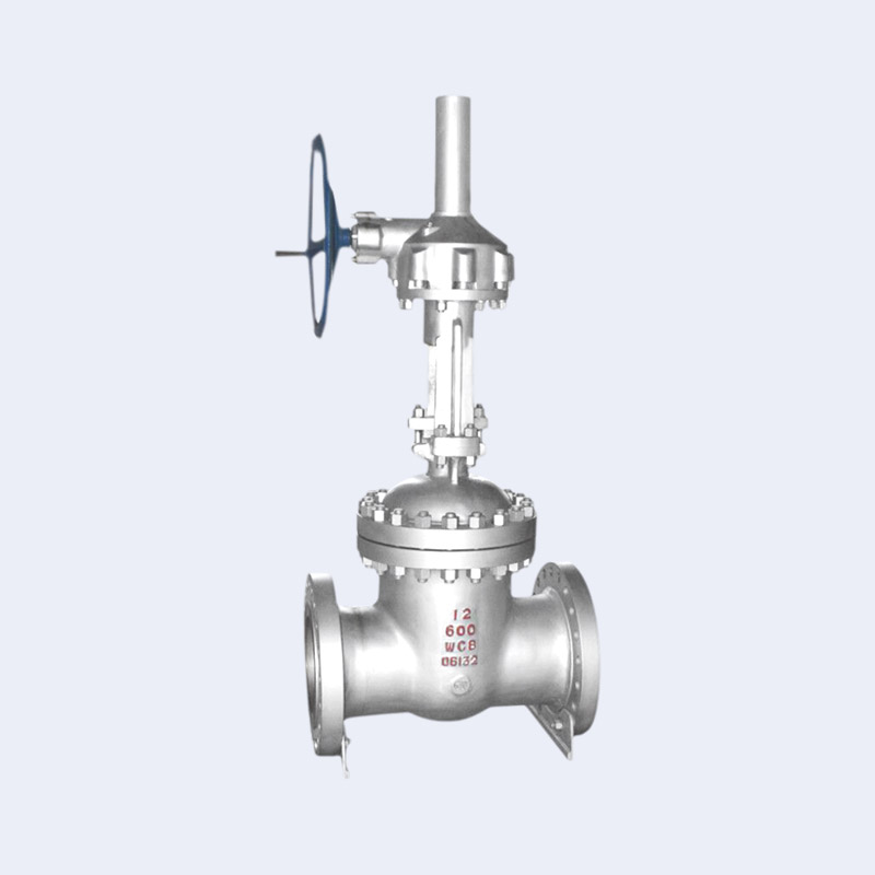 Cast steel ANSI gate valve