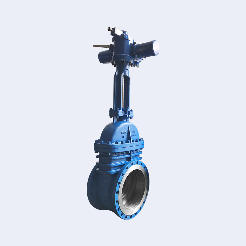 Electric ANSI gate valve