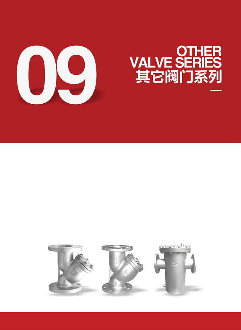 Other valves