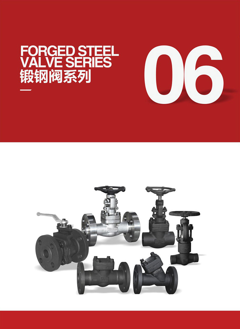 Forged steel valve