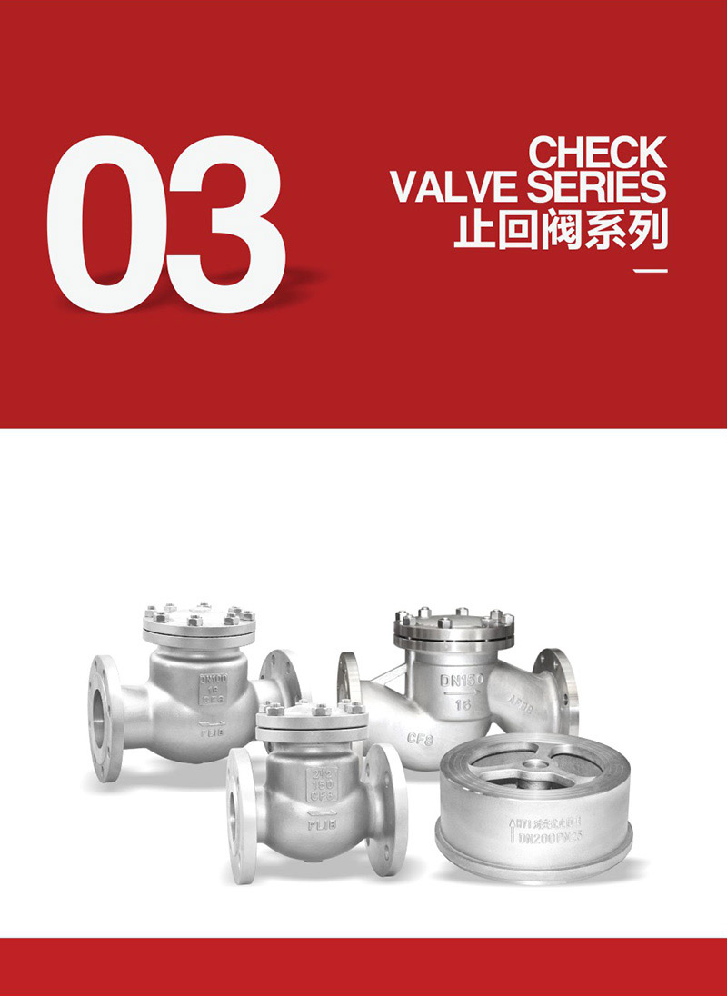 Check valve