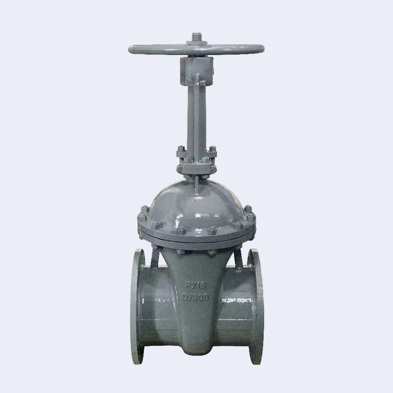 Flange gate valve 30S41NJ-30LS41NJ